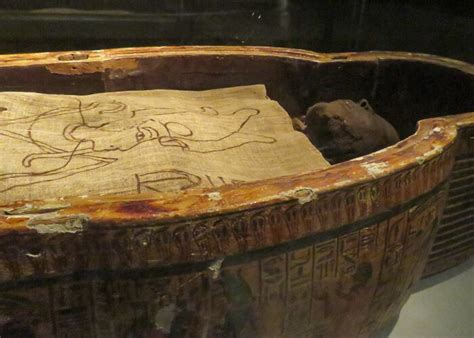 Mummification Museum in Luxor | Ancient Mummification Museum