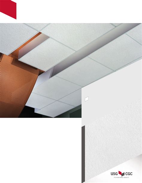 Usg Eclipse Climaplus Acoustic Ceiling Panels Shelly