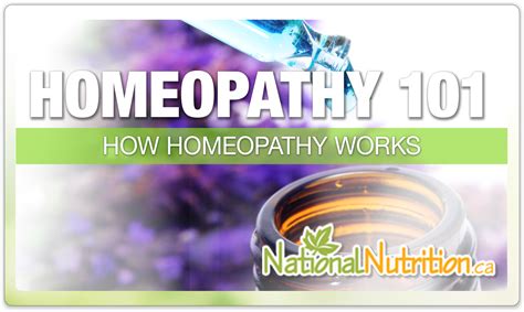 Homeopathy 101: A Comprehensive Guide | National Nutrition Article ...