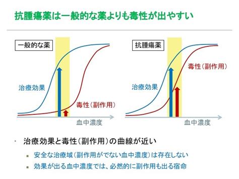 がん化学療法 先回り式副作用対策のヒント（滋賀県立総合病院 第100回がん診療セミナー）