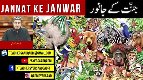 Jannat Mein Jane Wale Janwar Youtube