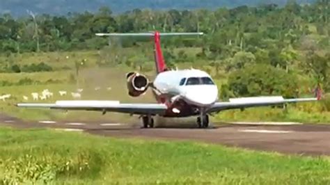 Em Meio Ao Gado Jato Embraer Legacy Faz Belo Pouso Em Pista Curta De