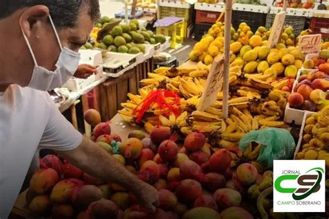 Motivos Para Comprar Flores Frescas No Ceasa E Alegrar Seu Dia