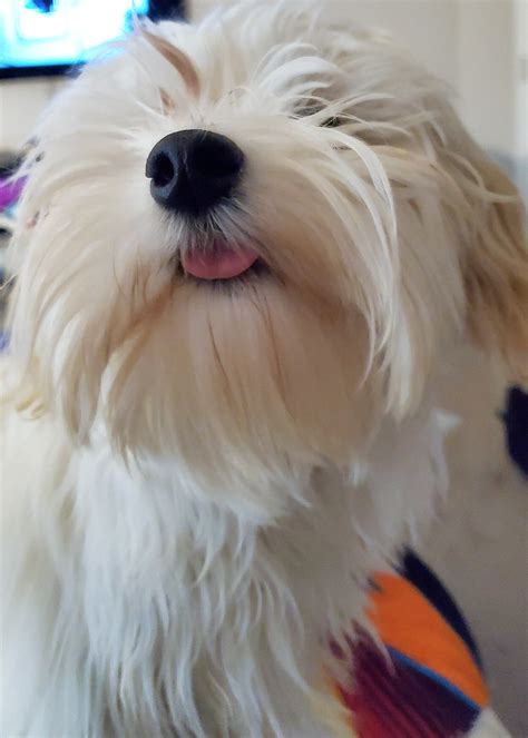 Naomi davis texas leader announces a bold new community initiative 8