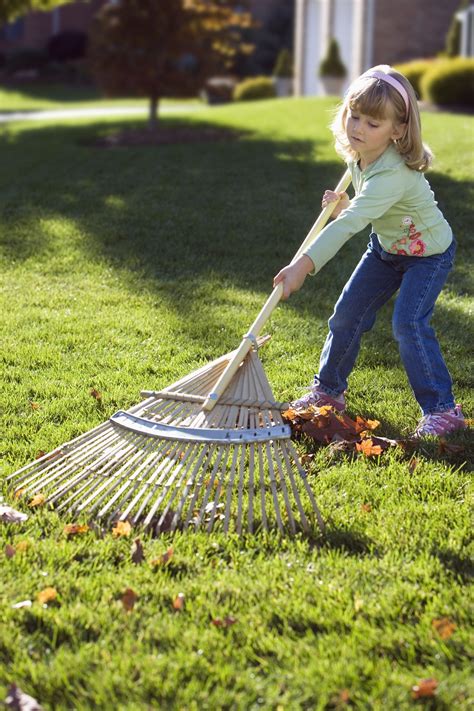 Girl Sends Letters to Late Mom Asking to Take Her Away from Aunt, Gets