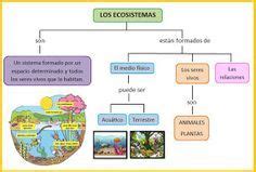 Ecosistema Mapa Mental Geno The Best Porn Website