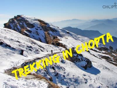 Chopta Tourism 2024 - Chopta Hill Station Travel Guide, Chopta Tips