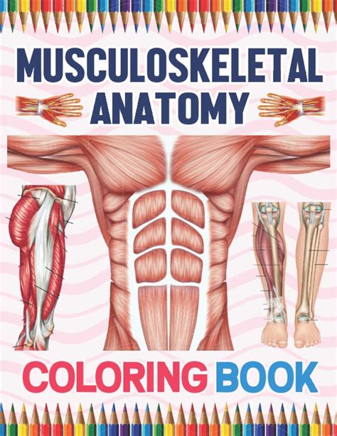 Musculoskeletal Anatomy Coloring Book Musculoskeletal Anatomy Student