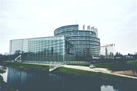 Parlamento Europeu Aprova A Lei De Restauro Da Natureza