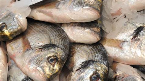 La Spezia Pesce Non Tracciato Sequestrati 10 Chili In Un Ristorante