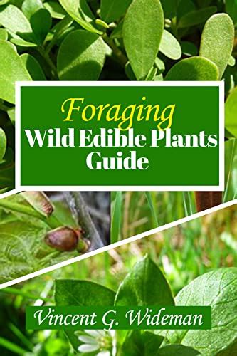 Revealed 10 Best Book For Identifying Edible Wild Plants Picks For