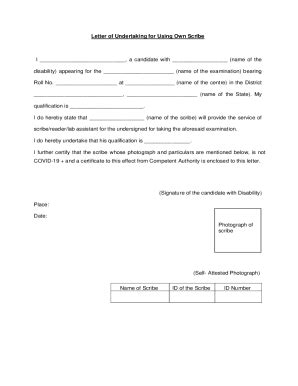 Fillable Online Appendix Iii Letter Of Undertaking For Using Scribe