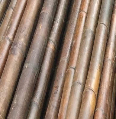 Bamboo Pole Tam Vong Bamboo Solid Pole Solid Bamboo Pole