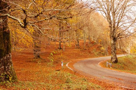 Tre Posti Dove Poter Ammirare Il Foliage Nel Lazio