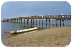 Lîle aux coquillages JOAL FADIOUTH Senegal voyage Sénégal Ile