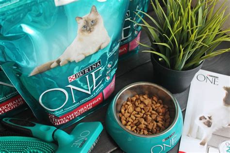 Корм Purina One для кошек: сухой, влажный, отзывы ветеринаров