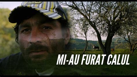 Mi Au Furat Calul YouTube