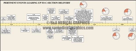 Medical History Timeline