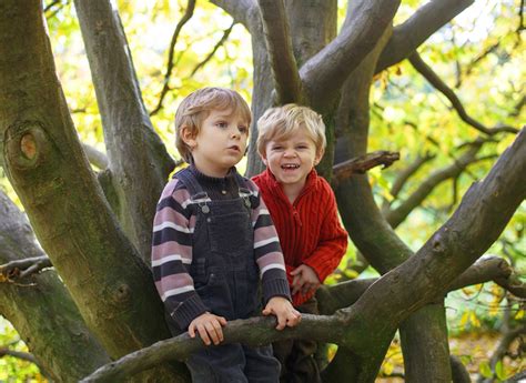 Forest Kindergarten Inhabitots