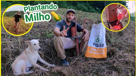 Plantando Milho Plantadeira Manual Matraca Pica Pau Youtube