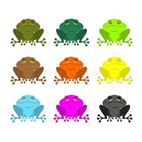 Frog Color Set Colored Toads Woody Orange Frog Stock Vector