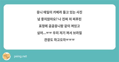 웅니 태일이 카메라 들고 있는 사진 넘 좋지않아요 나 진짜 저 찌푸린 표정에 곰곰웅니랑 같이 껴있고 Peing 質問箱