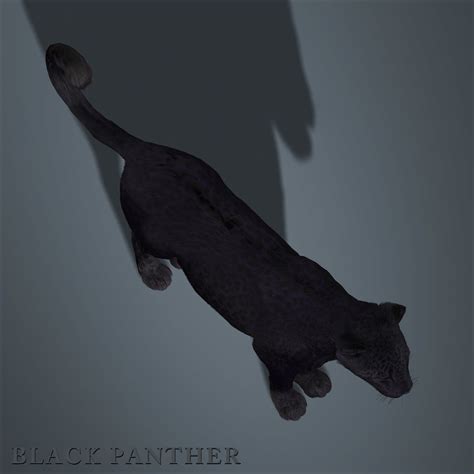 Black Panther 3d model