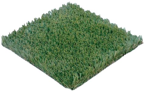 Grass Floor Mat Png Free Image Png All