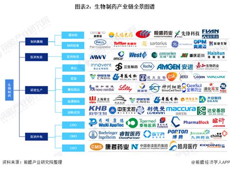 【干货】生物制药产业链全景梳理及区域热力地图行业研究报告 前瞻网