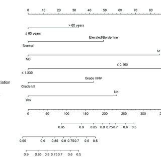 Nomogram For Predicting Overall Survival OS Of Rectal Cancer