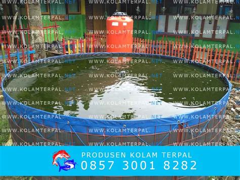 Cara Buat Kolam Bioflok Eveny Biofloc