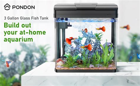 PONDON Fish Tank 3 Gallon Glass Aquarium With Air Pump LED Cool