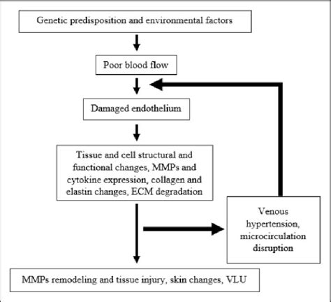 Venous Ulcer Pathophysiology