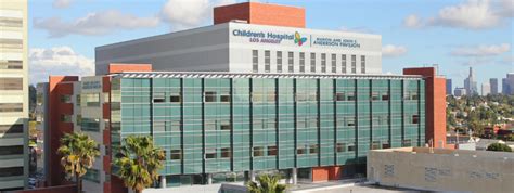 Chla The David Foundation