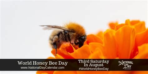 World Honey Bee Day Third Saturday In August Bee National Day