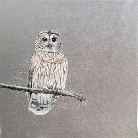 Tawny Owl Painting By Laure Bury Saatchi Art