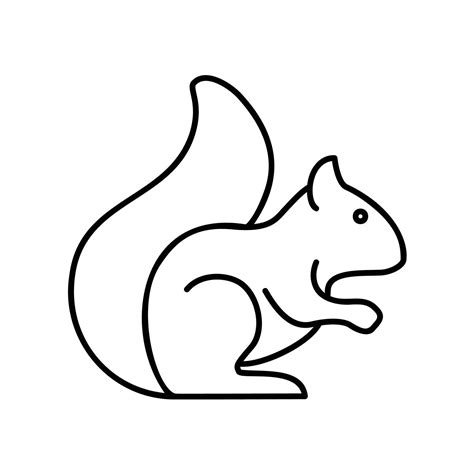 Squirrel Icon For Mammal Animal In Black Outline Style 12761430 Vector