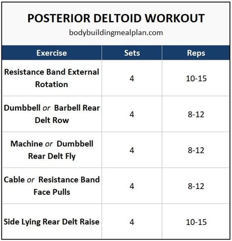 23 Posterior Deltoid Exercises (With Videos & Pictures) | Nutritioneering