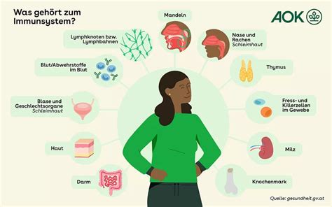 Wie Funktioniert Das Immunsystem