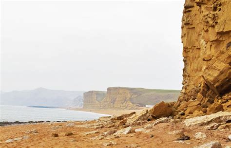 Charmouth Fossil Hunting - The Jurassic Coast, Dorset - Holiday Cottage ...