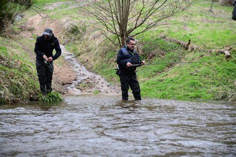 Beaucoup Deau Mais Peu De Truites En Haute Loire Pour Louverture De