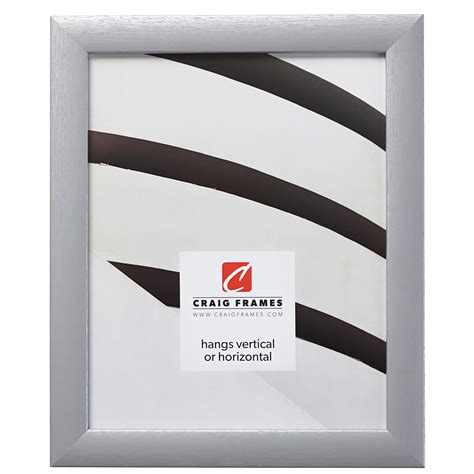 Craig Frames 23247018 Picture Frame, 24x24 inch, Brushed Silver - Walmart.com