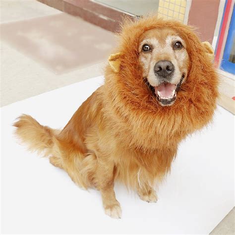 Lion Mane for Dog, Lion Fancy Costume Adjustable Mane with Lion Tail ...