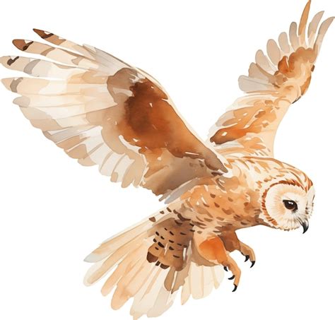 Premium Ai Image Flying Owl Watercolour Illustration