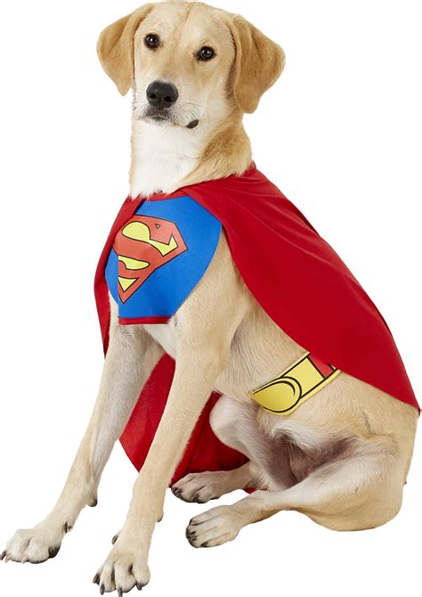 Rubies Costume Company Classic Superman Dog And Cat Costume X Large