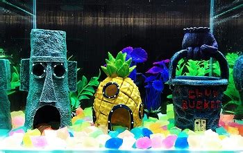 Top 6 Spongebob Aquarium Sets: Bikini Bottom & More Decors