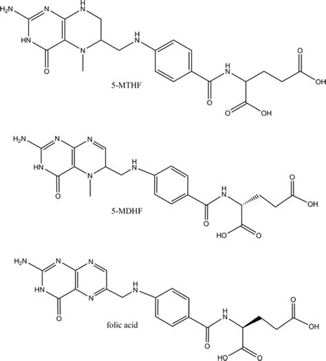 Molecular Structures Of 5 Methyl 5 6 7 8 Tetrahydrofolic Acid 5 MTHF