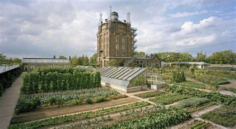 Dordrecht Walking Tour: the Oldest City in the Netherlands | GetYourGuide