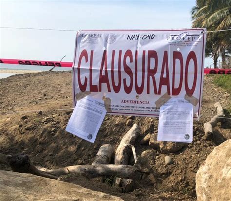 Tras Denuncias Clausura Profepa Obras En Higuera Blanca Paralelo