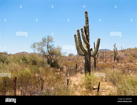 Arizona, Desert Southwest Scenic Landscape Stock Photo - Alamy